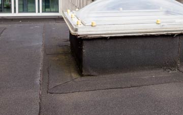 disadvantages of Amroth flat roofs